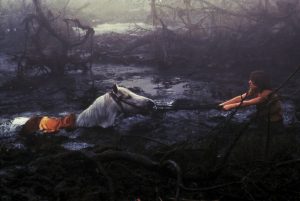 Artax in the swamp of sadness - Never-ending Story