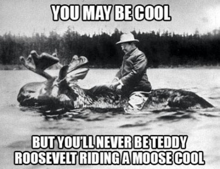 Teddy Roosevelt meme: You may be cool - but you'll never be Teddy Roosevelt riding a moose cool