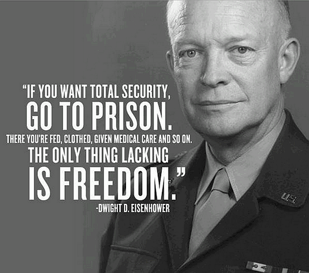 If you want total security, go to prison. - Dwight D Eisenhower